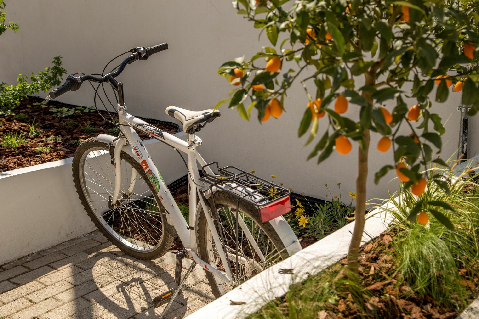 Hotel Urban Garden Roma